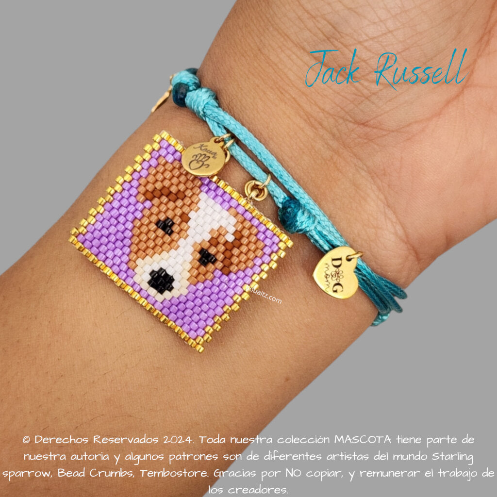 Jack Russell Pulsera, Llavero, Collar o Kit