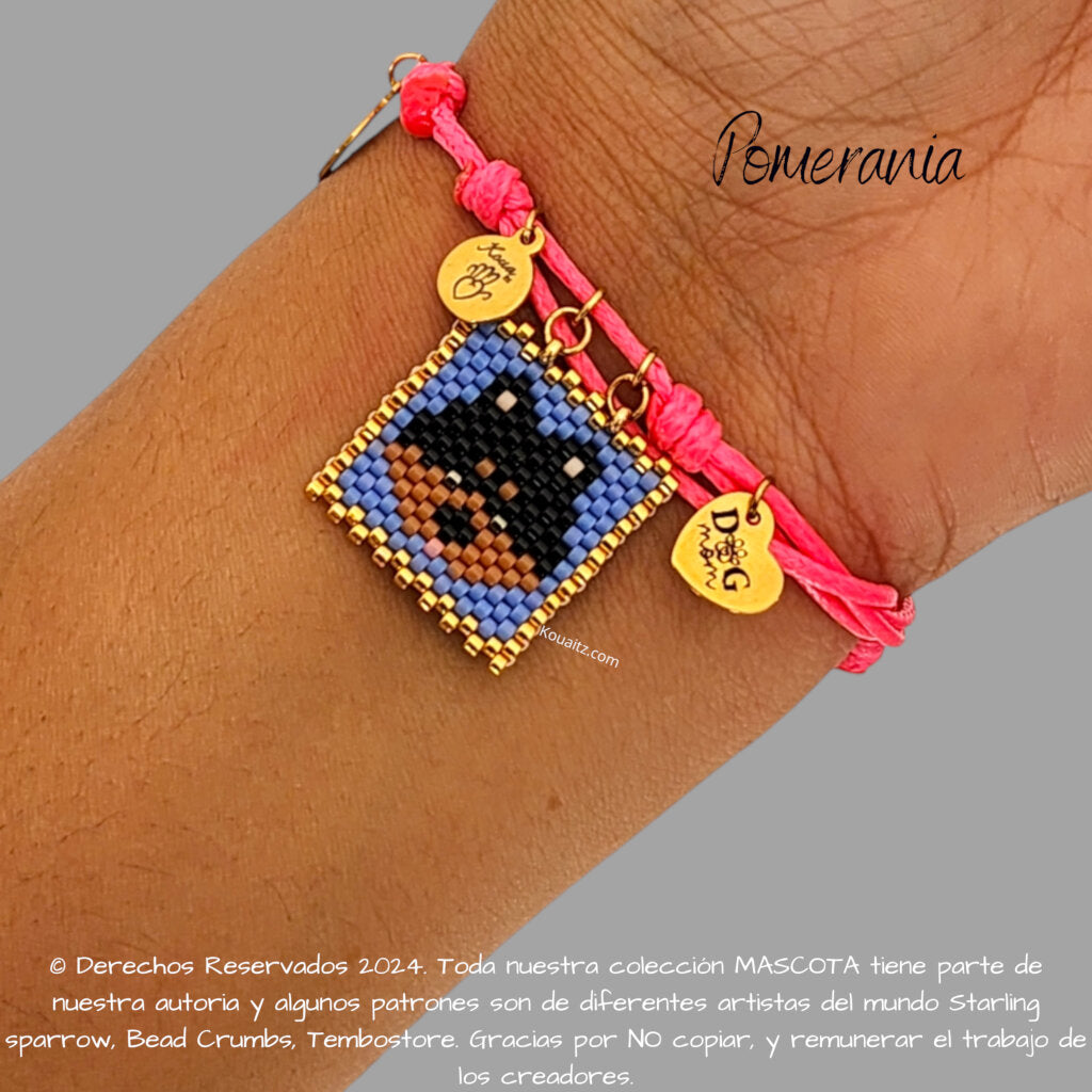 Pomerania Pulsera, Llavero, Collar o Kit
