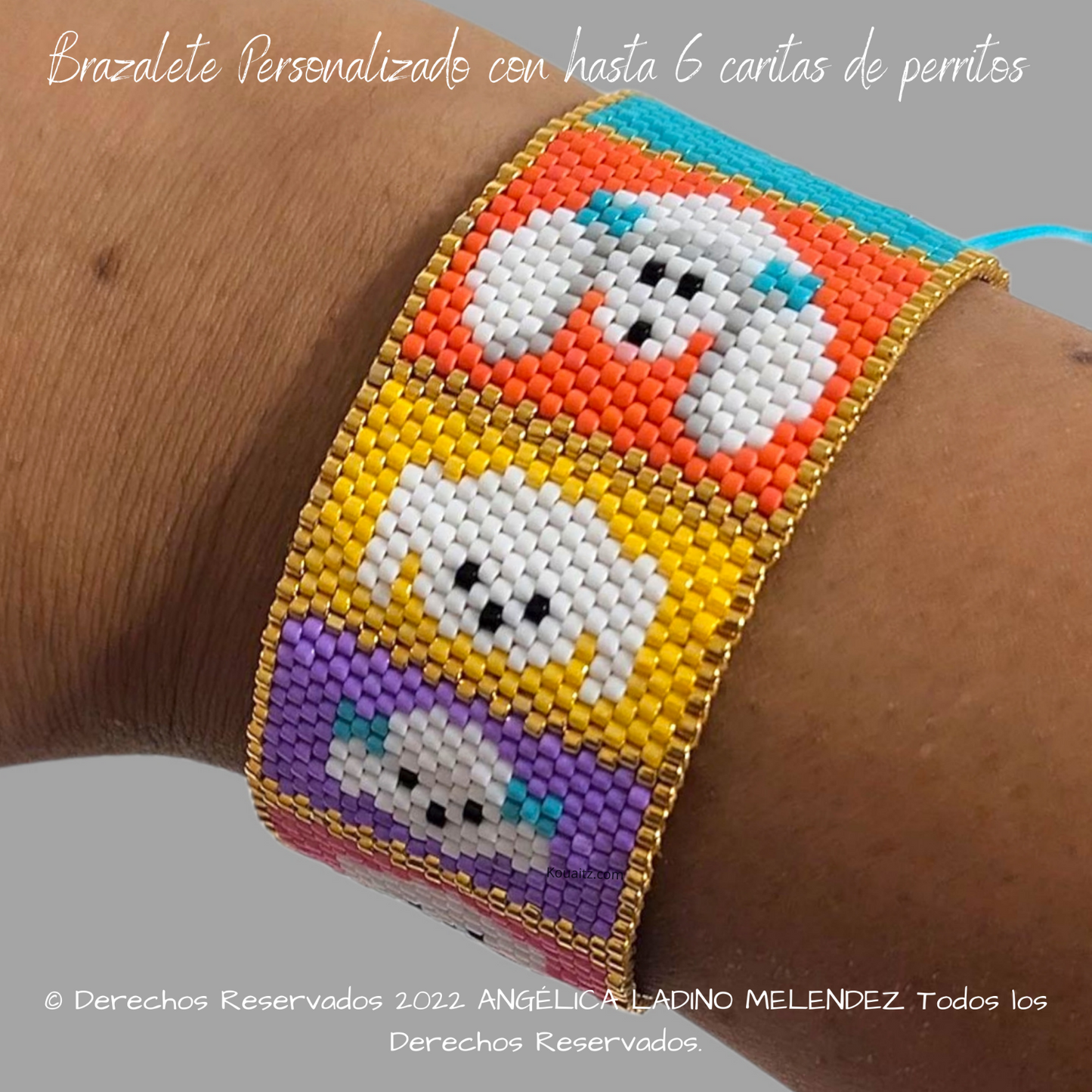 a Brazalete Personalizado hasta 6 perritos