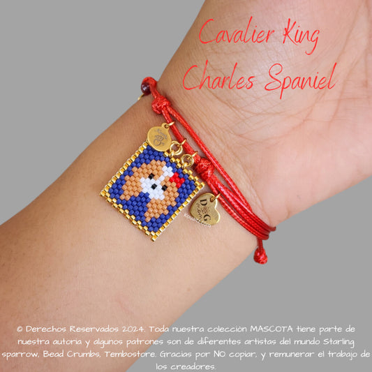 Cavalier king Charles Spaniel Pulsera, Llavero, Collar o Kit