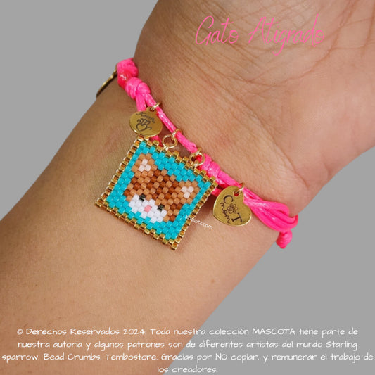 Gato Atigrado Pulsera, Llavero, Collar o Kit
