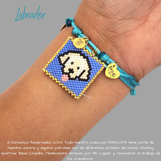 Labrador Pulsera, Llavero, Collar o Kit