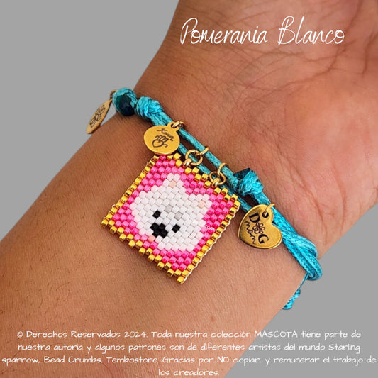 Pomerania Pulsera, Llavero, Collar o Kit