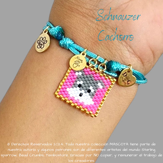 Schnauzer Cachorro Pulsera, Llavero, Collar o Kit